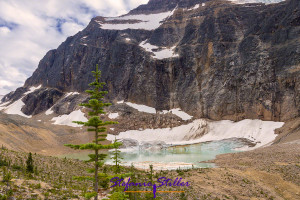 Edith Cavell Pond