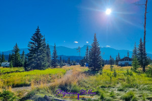 Whistlers Campground am Morgen