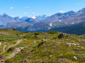 Wilcox Pass Trail