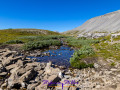 Wilcox Pass