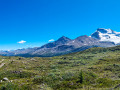 Blick nach Süden vom Wilcox Pass Trail