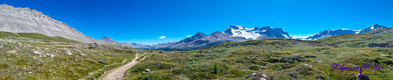 Blick nach Süden vom Wilcox Pass Trail