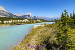 North Saskatchewan River