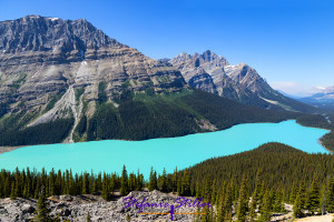 Peyto Lake