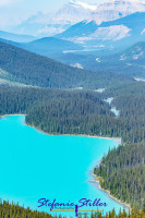 Peyto Lake