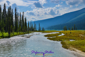 Zufluss Emerald Lake