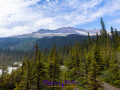 Bergkulisse bei den Takakkaw Falls