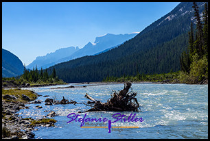 220818 icefieldparkway