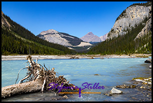 220818 icefieldparkway