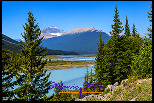 220818 icefieldparkway