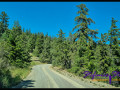 220812 pavilionmountainroad