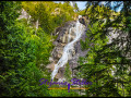 220810 shannonfalls 334