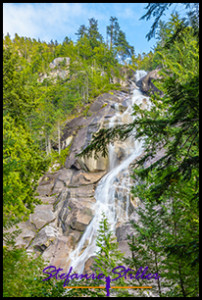 220810 shannonfalls 334